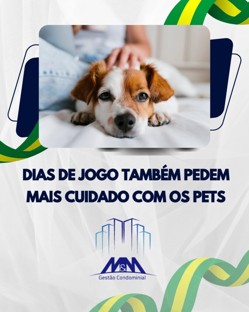 M&M – POSTAGENS (5)